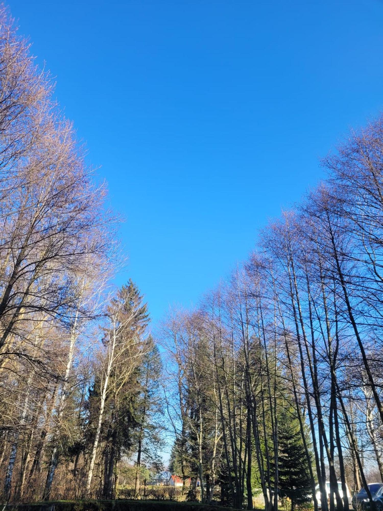 Wataha Pod Basztami - Wadera - Domki Caloroczne Radkow Exteriör bild